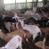 Agriculture – Livestock Program